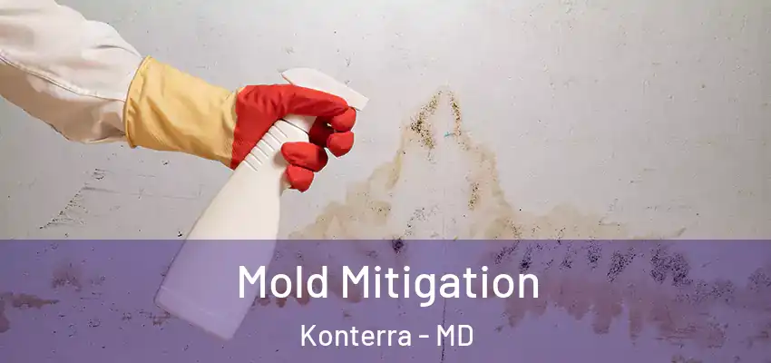 Mold Mitigation Konterra - MD