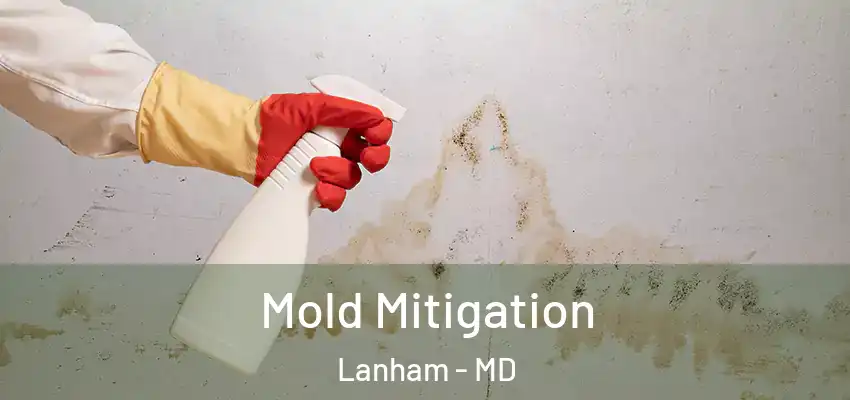  Mold Mitigation Lanham - MD
