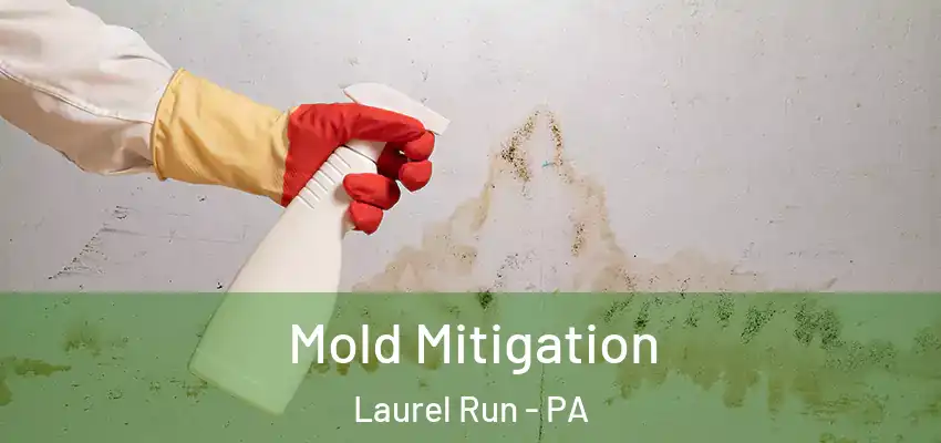 Mold Mitigation Laurel Run - PA