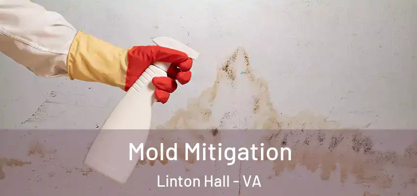 Mold Mitigation Linton Hall - VA