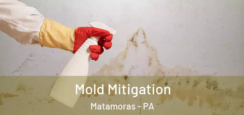 Mold Mitigation Matamoras - PA