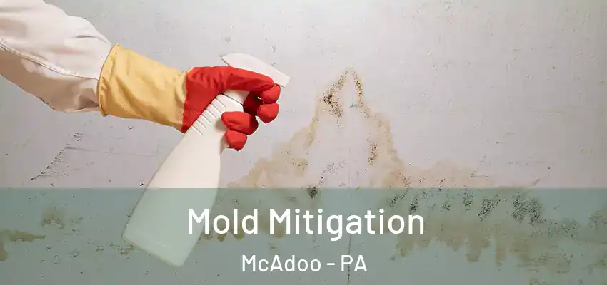  Mold Mitigation McAdoo - PA