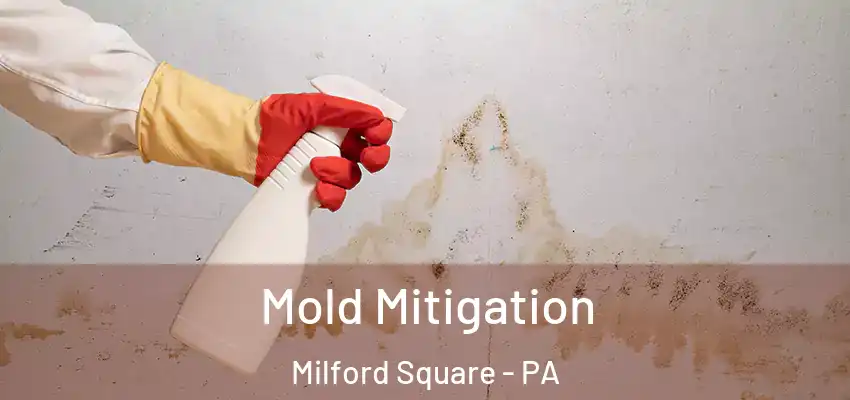 Mold Mitigation Milford Square - PA