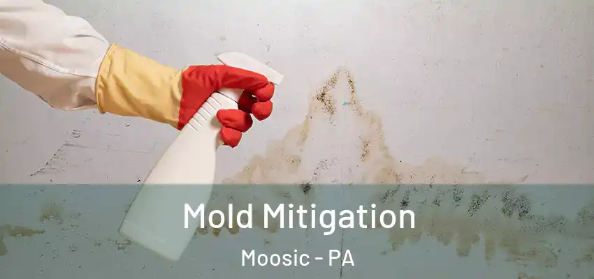  Mold Mitigation Moosic - PA