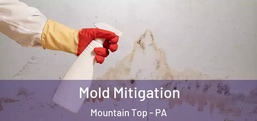 Mold Mitigation Mountain Top - PA