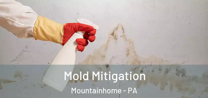 Mold Mitigation Mountainhome - PA