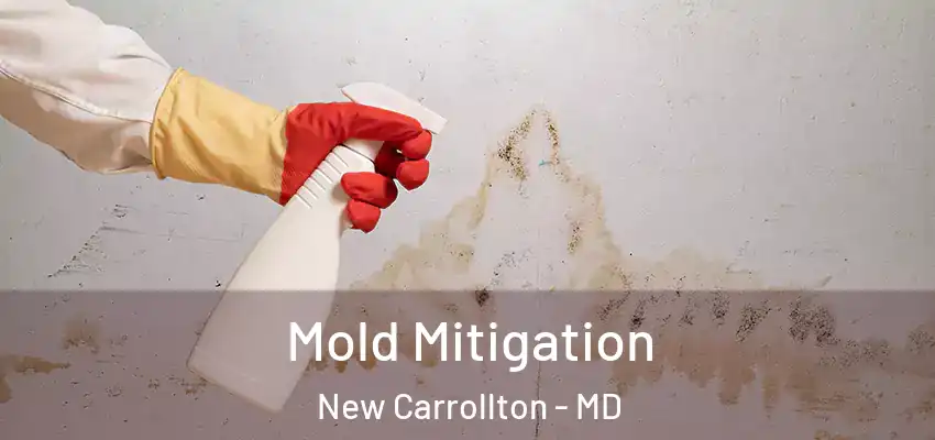 Mold Mitigation New Carrollton - MD