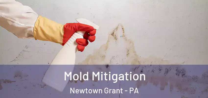 Mold Mitigation Newtown Grant - PA