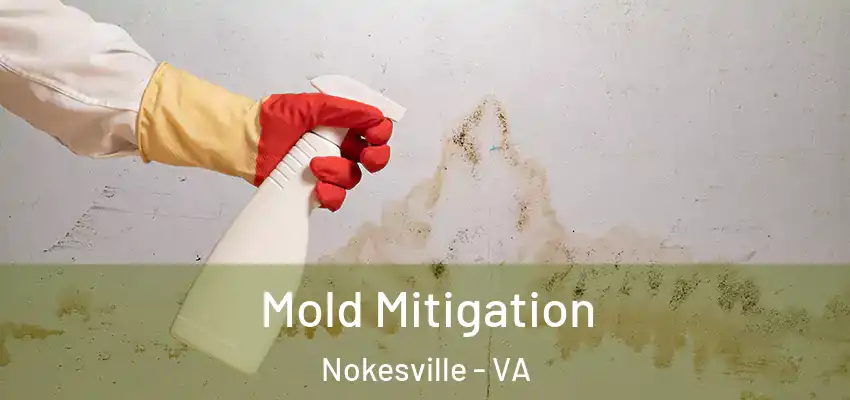 Mold Mitigation Nokesville - VA