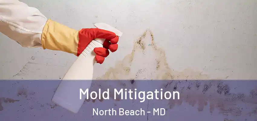  Mold Mitigation North Beach - MD