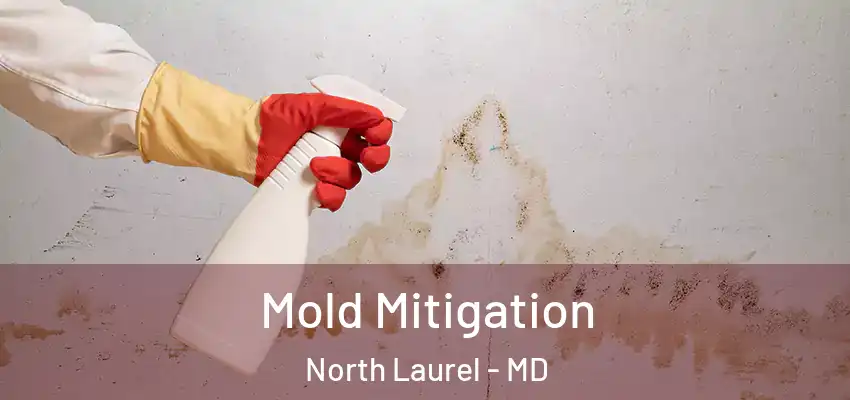  Mold Mitigation North Laurel - MD