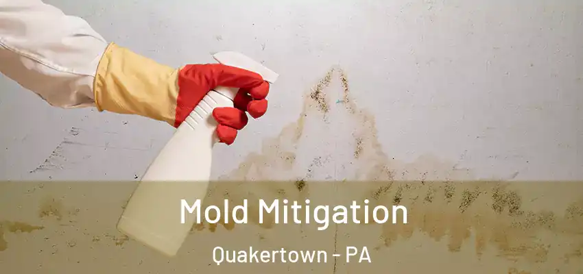 Mold Mitigation Quakertown - PA