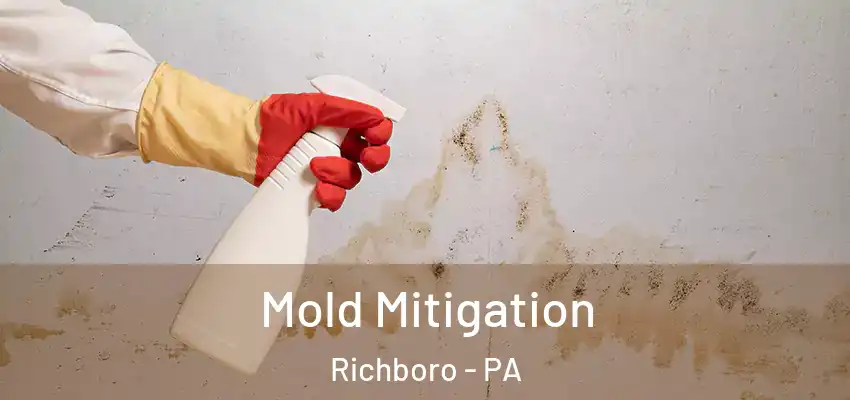Mold Mitigation Richboro - PA