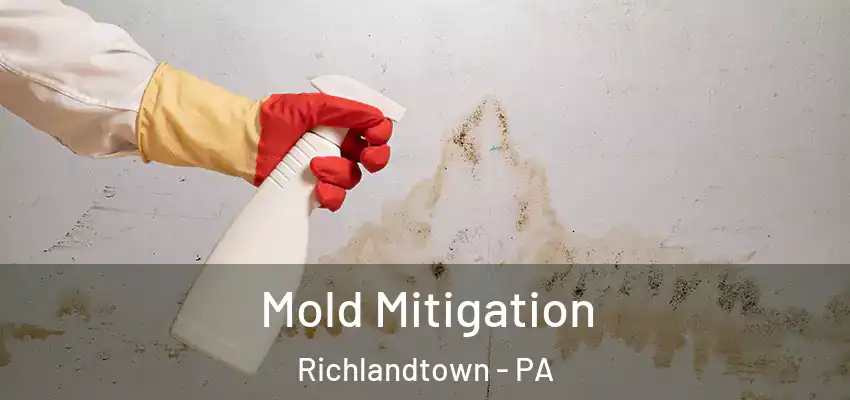 Mold Mitigation Richlandtown - PA