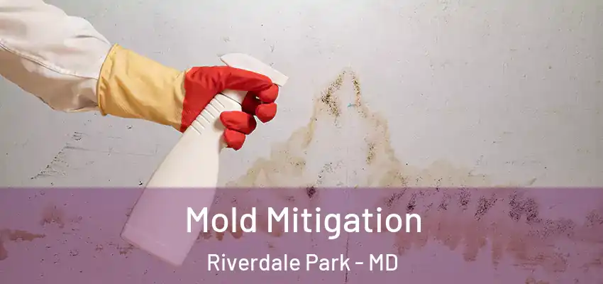 Mold Mitigation Riverdale Park - MD