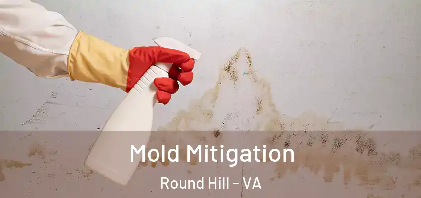 Mold Mitigation Round Hill - VA