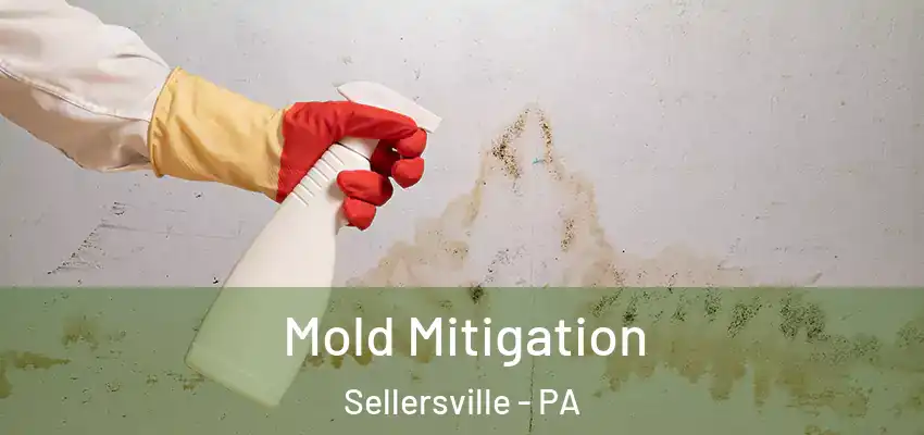  Mold Mitigation Sellersville - PA
