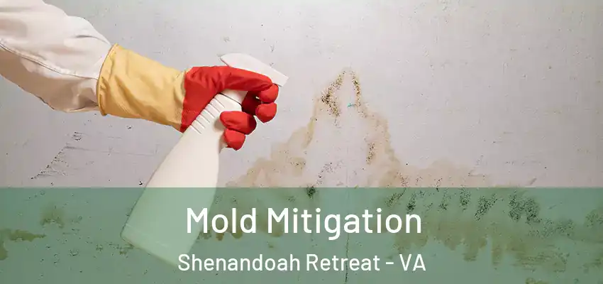  Mold Mitigation Shenandoah Retreat - VA
