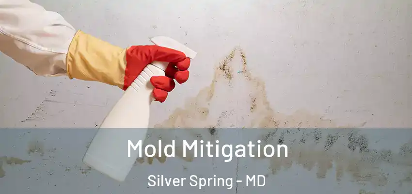  Mold Mitigation Silver Spring - MD