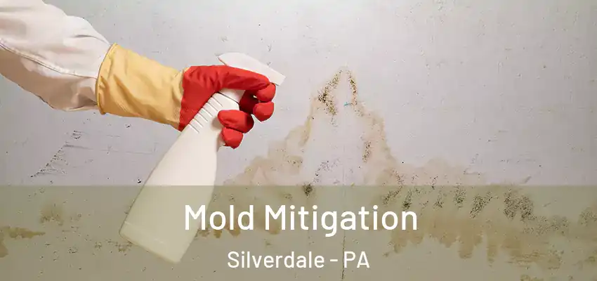 Mold Mitigation Silverdale - PA