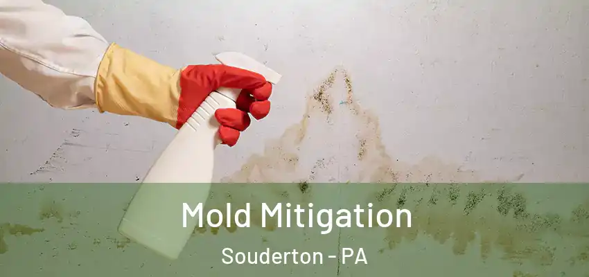 Mold Mitigation Souderton - PA
