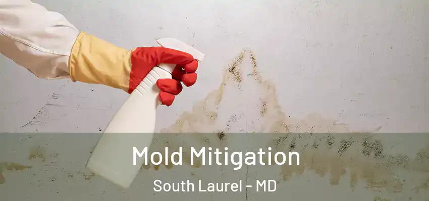 Mold Mitigation South Laurel - MD