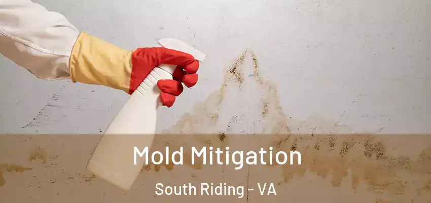 Mold Mitigation South Riding - VA