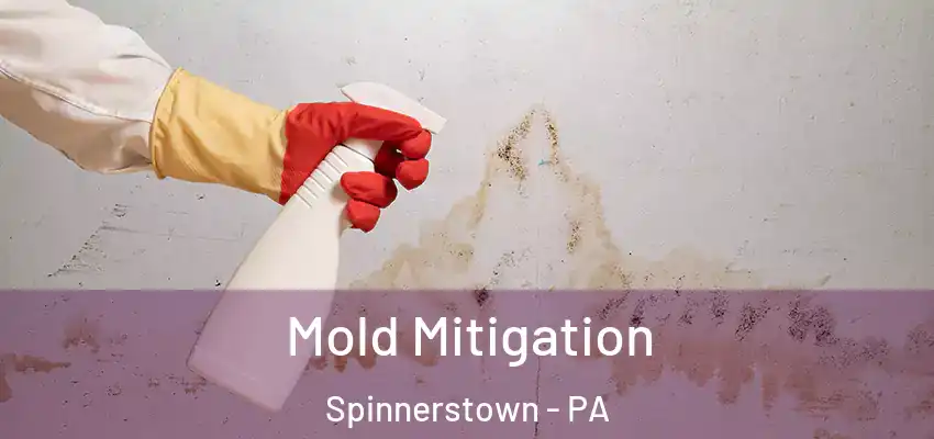 Mold Mitigation Spinnerstown - PA