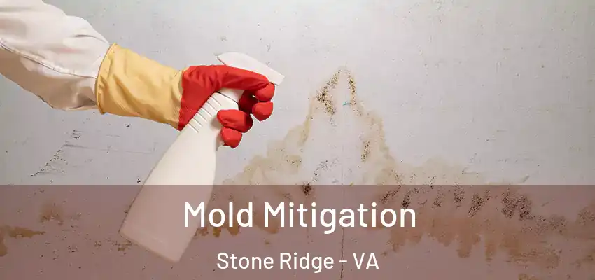 Mold Mitigation Stone Ridge - VA