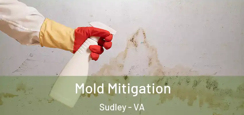 Mold Mitigation Sudley - VA