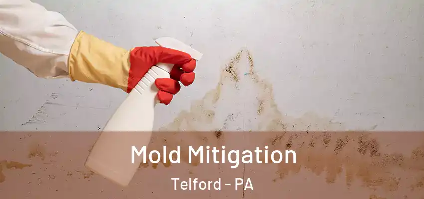 Mold Mitigation Telford - PA