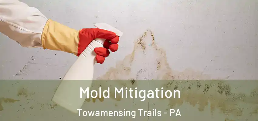 Mold Mitigation Towamensing Trails - PA