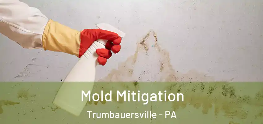 Mold Mitigation Trumbauersville - PA