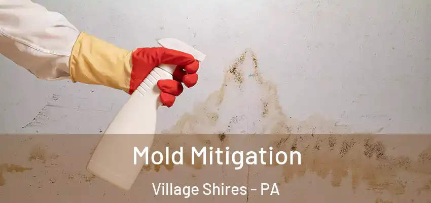 Mold Mitigation Village Shires - PA