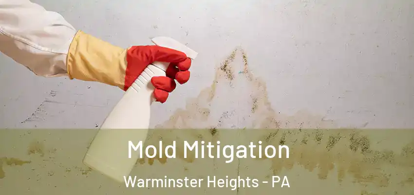 Mold Mitigation Warminster Heights - PA