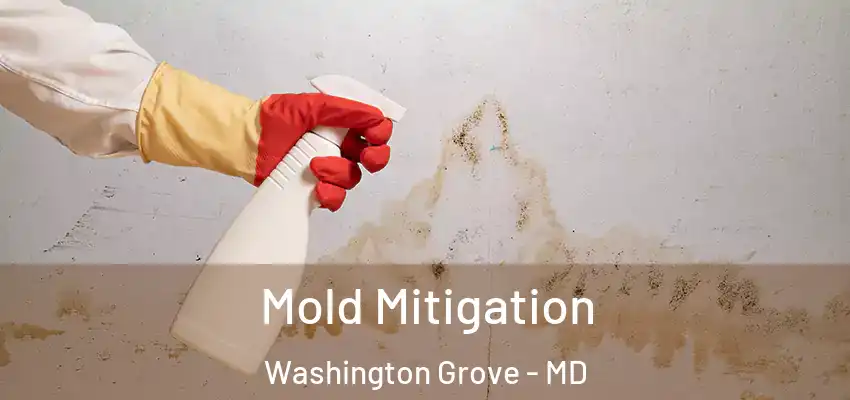 Mold Mitigation Washington Grove - MD