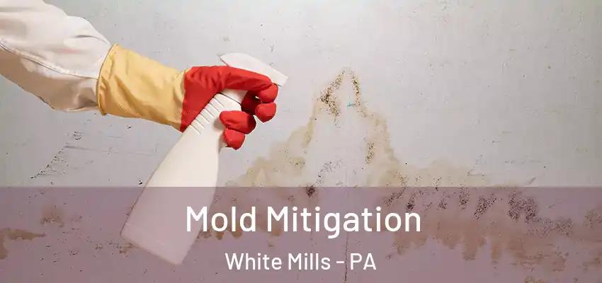 Mold Mitigation White Mills - PA