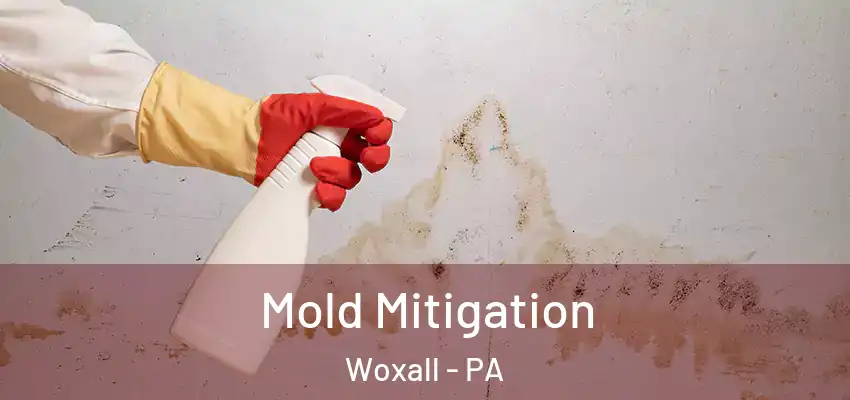 Mold Mitigation Woxall - PA