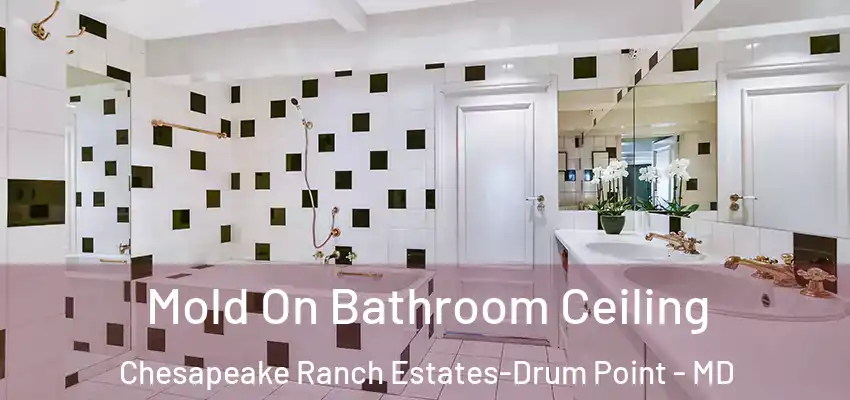  Mold On Bathroom Ceiling Chesapeake Ranch Estates-Drum Point - MD