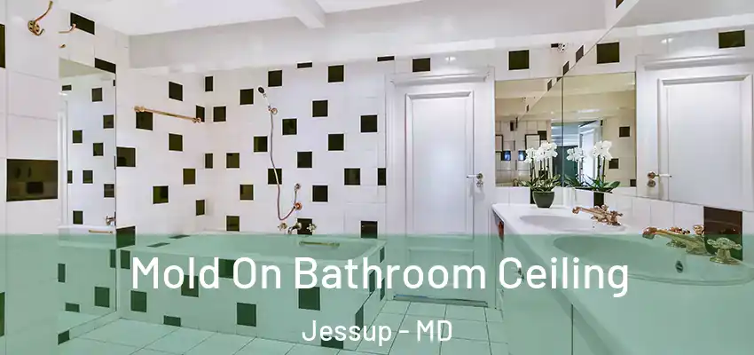  Mold On Bathroom Ceiling Jessup - MD