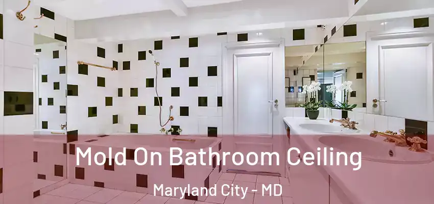 Mold On Bathroom Ceiling Maryland City - MD