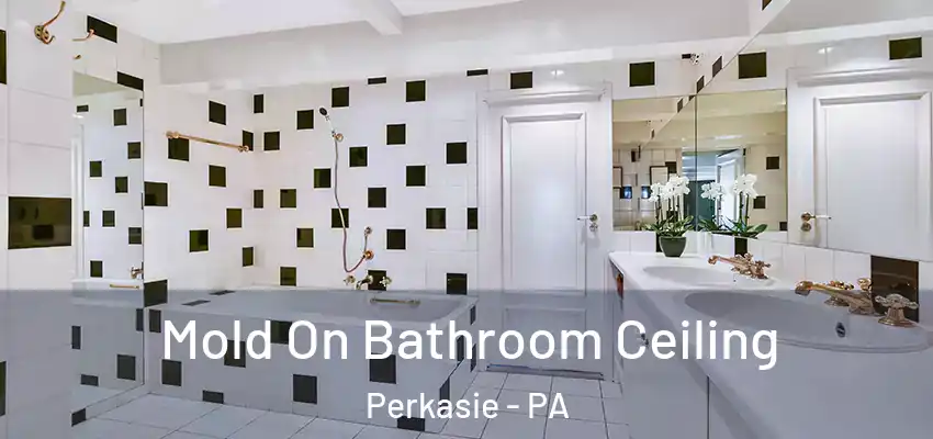 Mold On Bathroom Ceiling Perkasie - PA