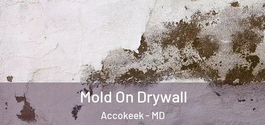  Mold On Drywall Accokeek - MD