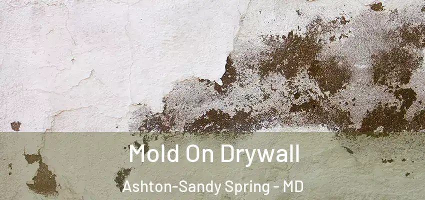  Mold On Drywall Ashton-Sandy Spring - MD