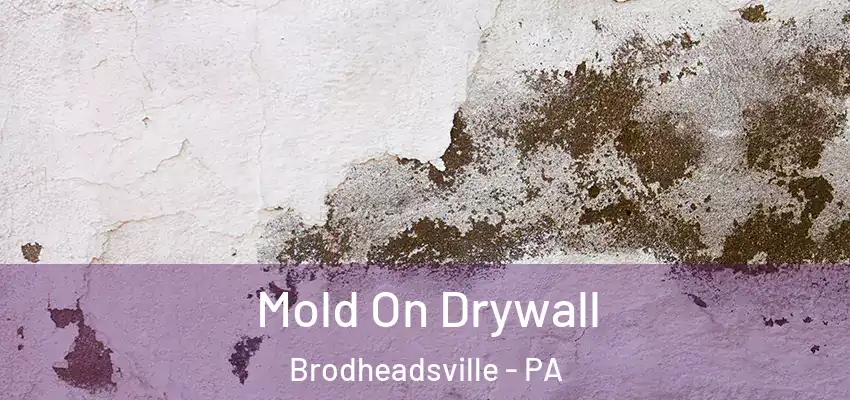  Mold On Drywall Brodheadsville - PA