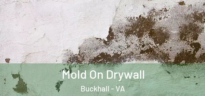  Mold On Drywall Buckhall - VA