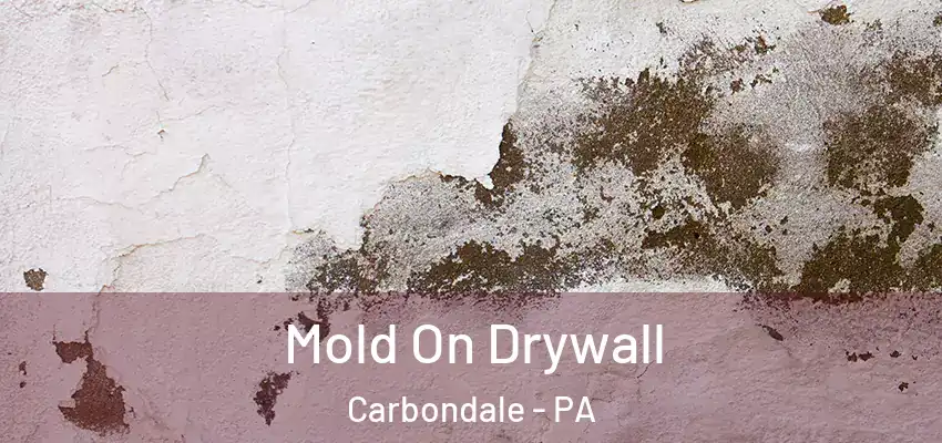  Mold On Drywall Carbondale - PA