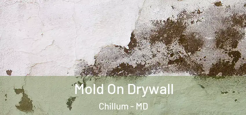 Mold On Drywall Chillum - MD