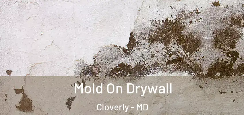  Mold On Drywall Cloverly - MD