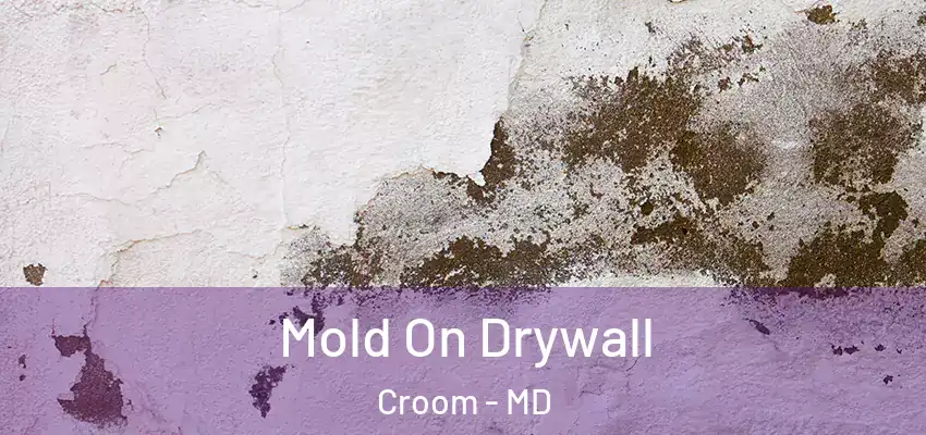 Mold On Drywall Croom - MD